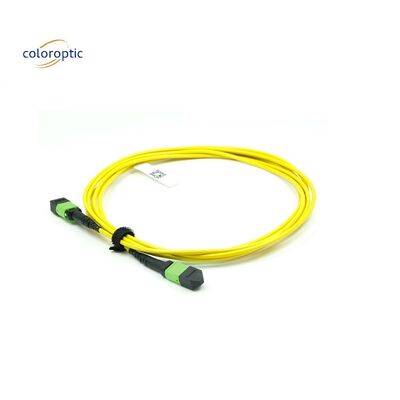 OM3 MPO Patch Cord 12 Core Aqua Fiber Optic Connector voor efficiënte netwerken