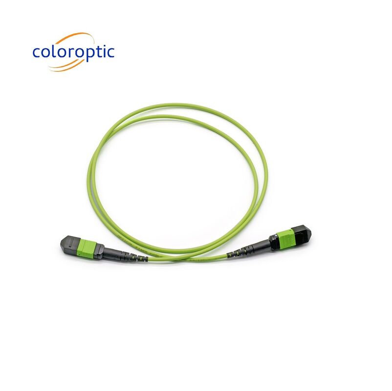 Single Mode MTP Patch Cord MTP Connector G652D / G657A1 / G657A2 vezel