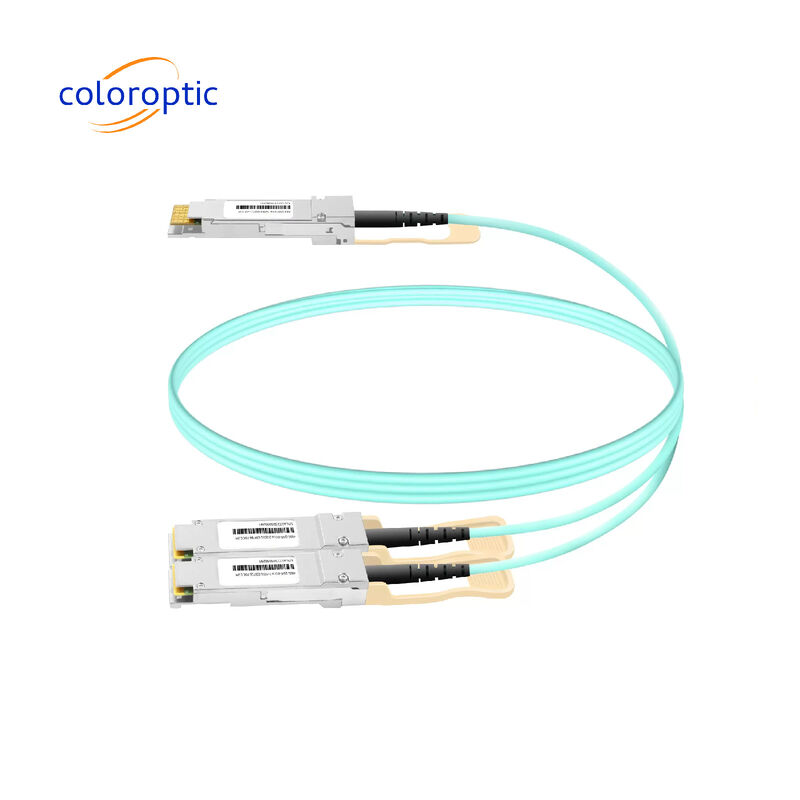 3m AOC DAC kabel 10Gbps 800G OSFP tot 2*400G QSFP112 verbindingen